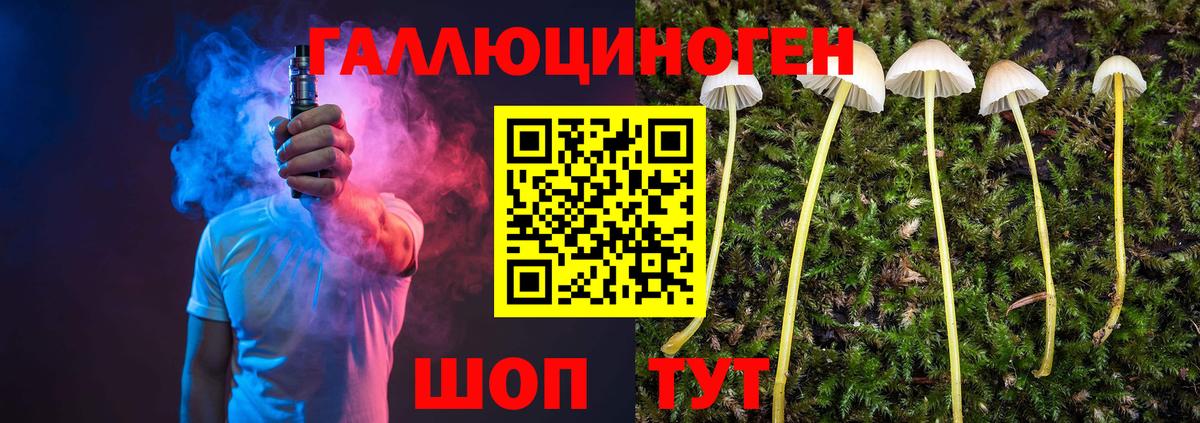 Галлюциногенные грибы мухоморы Ялуторовск